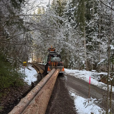 Produktbild von AR Forstservice OG's Holzbringung