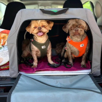 Produktbild von PERRO Shop Brixlegg & Wattens's Hundeboxen