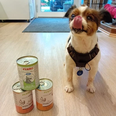 Produktbild von PERRO Shop Brixlegg & Wattens's Nassfutter für Hunde