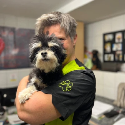 Produktbild von PERRO Shop Brixlegg & Wattens's Hundefriseur