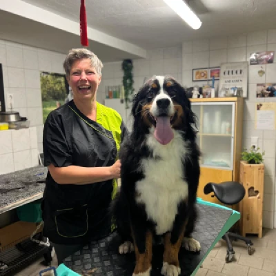 Produktbild von PERRO Shop Brixlegg & Wattens's Hundefriseur